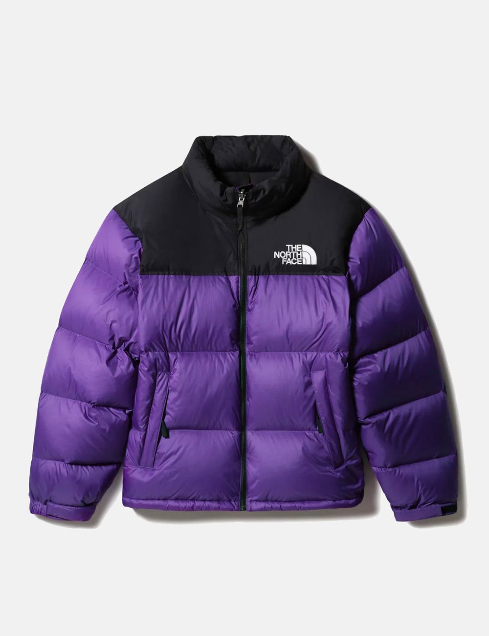 TNF™ 1996 Retro Nuptse Jacket